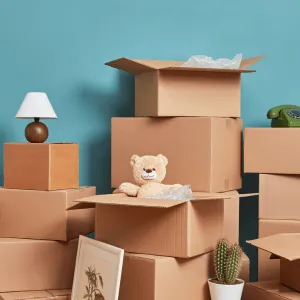 Packers and movers 2